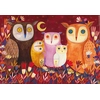 Image de D-toys Puzzle Hiboux 1000 Pièces Art Andrea Kürti