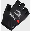 Image de Gants Team Visma Lease a Bike Replica 2026 noir - S