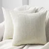 Image de Housse de coussin45x45cmvelours côtelé doux avec fermeture éclair dissimuléepour Décoration Coussin Salon2 setBlanc cassé
