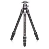 Image de Benro Trépied Tortoise 24C + GX30 Kit Carbon (TTOR24CGX30)