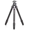 Image de BENRO Trepied Photo Carbone Tortoise 34C+GX35 - TTOR34CGX35