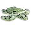 Image de Bouée gonflable tortue Aloha INTEX