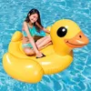 Image de Bouée gonflable Canard Jaune à Chevaucher - INTEX - Jeux de Piscine - 2 poignées de maintien