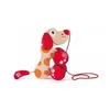 Image de Chiot de promenade - Hape - Puppy - Rouge - Beige - Extérieur