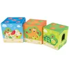 Image de Hape Friendship Tower