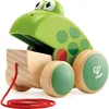 Image de Jouet en bois à tirer - HAPE - E0361 - Grenouille à promener - Vert - Beige - Mixte