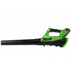 Image de Souffleur De Feuilles Sans Batterie 40v G40ab 2400807 Greenworks