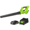 Image de Souffleur Greenworks 24v - 1 Batterie 2.0 Ah - 1 Chargeur - G24abk2