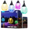 Image de Guirlande Lumineuse LED Govee 15m Ampoules Claires