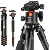 Image de K&f Trépied Pro Carbone + Rotule Bh-36l