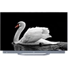Image de Haier H55c900ux 139,7 Cm (55") 4k Ultra Hd Smart Tv Wifi Noir