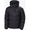 Image de Veste à capuche Helly Hansen Active Winter Parka violet raisin - M