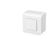 Image de Interrupteur va et vient Legrand Mosaic BOIT-077011L