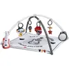 Image de Tapis d’activité avec Arches Tiny Rockers
