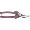 Image de Secateur Rainbow Lilas