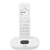 Image de Doro Comfort 1015 - telephone sans fil - systeme de repondeur avec ID d'appelant