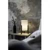 Image de Lampe eruca