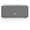 Image de Audio Pro D2 Gris - Enceintes sans fil