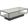 Image de Table basse en verre et acier maglehem 15015-180