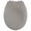 Image de Abattant wc Thermo dur avec frein de chute NEELA Taupe mat - Charnières ABS Chromé Spirella