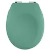 Image de Abattant wc Thermo dur avec frein de chute NEELA Vert mat - Charnières ABS Chromé Spirella