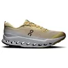 Image de On Cloudsurfer Trail 2
