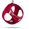 Image de Harnais pour chien magnétique Curli - red/red - Rouge - M