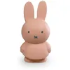 Image de Tirelire Miffy Uni Atelier Pierre