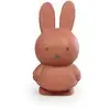 Image de Tirelire Miffy Uni Atelier Pierre