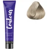 Image de Ducastel Pro - Coloration permanente The Couleur 10½.1 Blond clair clair Cendré Pâle