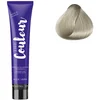 Image de Ducastel Pro - Coloration permanente The Couleur 12.11 Spécial Blonde Cendré Profond