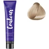 Image de Ducastel Pro - Coloration permanente The Couleur 12.22 Spécial blond Irisé Profond
