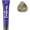Image de Ducastel Pro - Coloration permanente The Couleur 9.1 Blond Très Clair Cendré