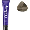 Image de Ducastel Pro - Coloration permanente The Couleur 8.1 Blond Clair Cendré