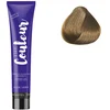 Image de Ducastel Pro - Coloration permanente The Couleur 8.31 Blond Clair Doré Cendré