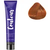 Image de Ducastel Pro - Coloration permanente The Couleur 7.40 Blond Cuivré Intense