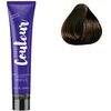 Image de Ducastel Pro - Coloration permanente The Couleur 6.1 Blond Foncé Cendré