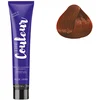 Image de Ducastel Pro - Coloration permanente The Couleur 6.64 Blond foncé Rouge Cuivré