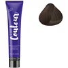 Image de Ducastel Pro - Coloration permanente The Couleur 6.75 Blond foncé Marron Acajou