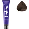 Image de Ducastel Pro - Coloration permanente The Couleur 6.77 Blond Foncé Marron Profond