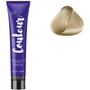 Image de Ducastel Pro - Coloration permanente The Couleur 12.01 Spécial Blonde Naturel Cendré