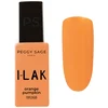 Image de Peggy Sage - Vernis semi-permanent I-LAK orange pumpkin
