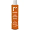 Image de Patrice Mulato - Shampooing repigmentant blond vénitien