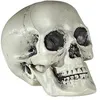 Image de Accessoire de décoration - WIDMANN - Tête de Mort en Plastique - 21 cm - Halloween - Mixte