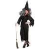 Image de Widmann - Costume De Sorcière Pour Femme - Taille S