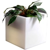 Image de SLIDE vase lumineux Q-POT LIGHT (Blanc - Polyéthylène)
