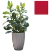 Image de SLIDE vase STAR H 59 cm (Rouge - Polyéthylène)