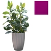 Image de SLIDE vase STAR H 59 cm (Fuchsia - Polyéthylène)