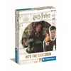 Image de Harry Potter Jeux De Cartes - 2 À 4 Joueurs - Dès 8 Ans