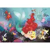Image de Clementoni Puzzle Princesse Disney Petite Sirène 24 Pièces Carton Enfant